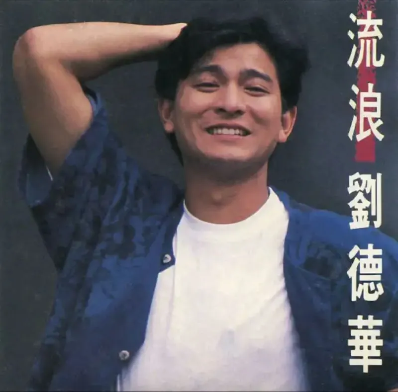 刘德华-流浪