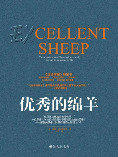 优秀的绵羊ExcellentSheep