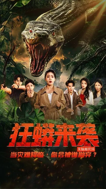 2025年6月24日合集目录1