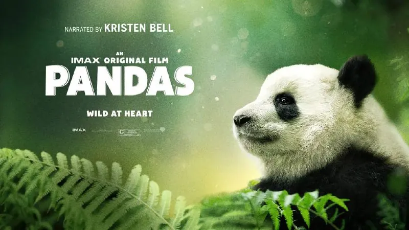大熊猫Pandas