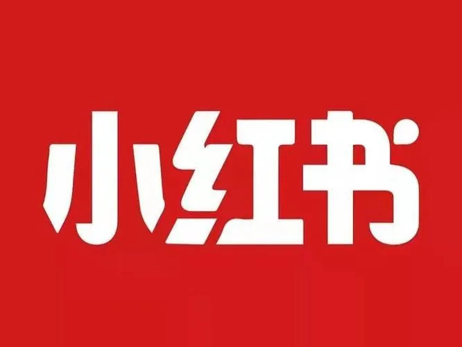 戴小胖小红书从0-1爆款实操课