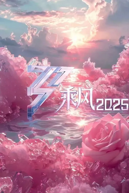 乘风2025/乘风破浪的姐姐第六季