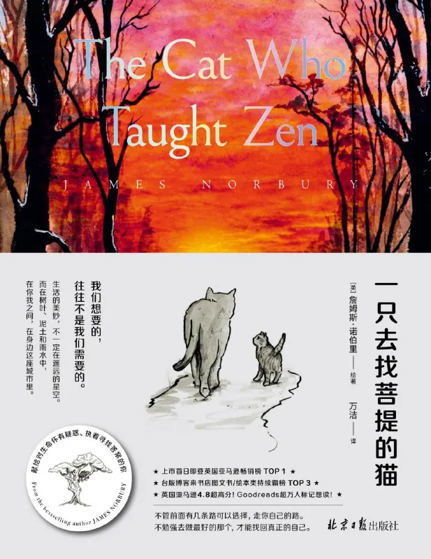 一只去找菩提的猫