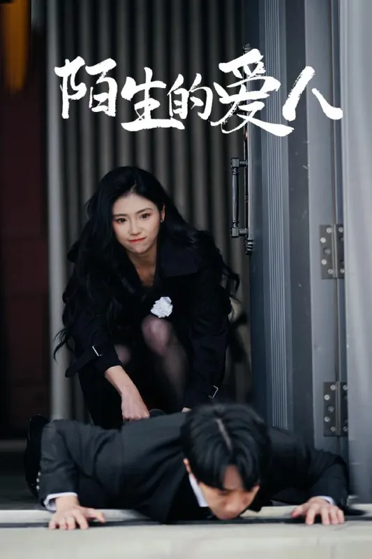陌生的爱人